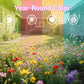 Colorful Wildflower Mix Seed for All Seasons