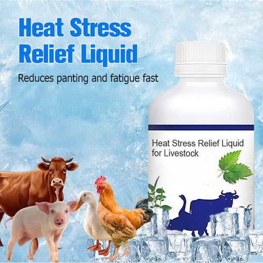 Heat Stress Relief Liquid for Livestock