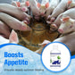 Heat Stress Relief Liquid for Livestock