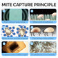 90-Day Dust Mite Trapping Sheet